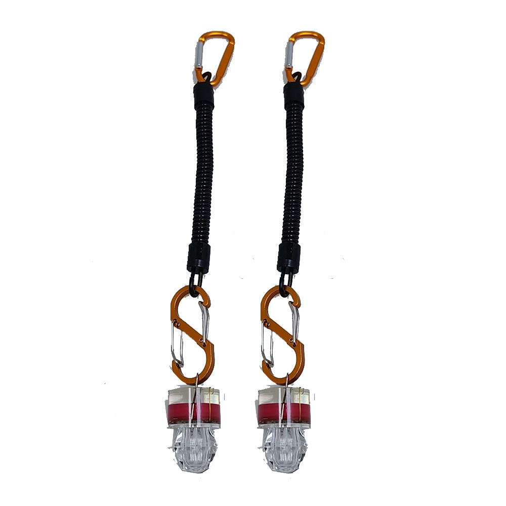 2-3 Luci LED per Pesca con Cor - Fish Alarm recensione e prezzo